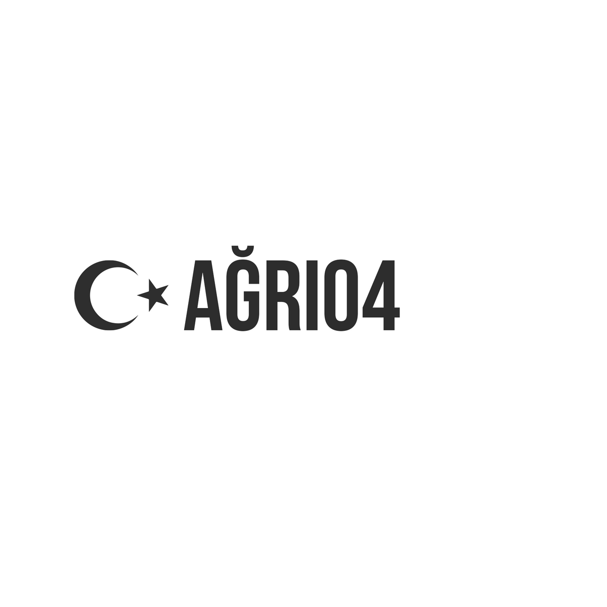 Ağrı 04