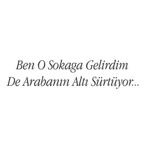 Ben O Sokaga Gelirdim De Arabanin Alti Sürtuyo... (30cm breite)